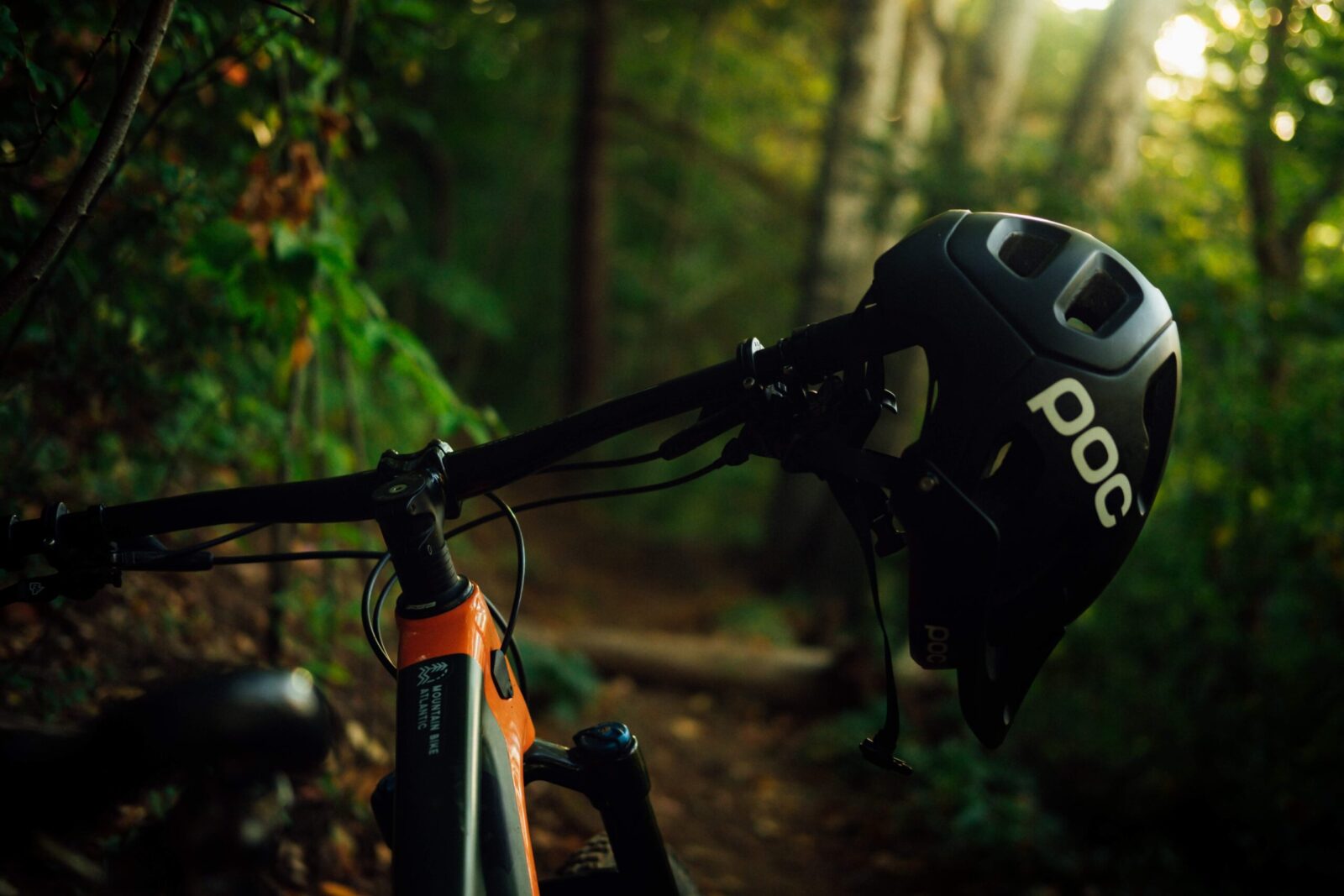 bici nel bosco